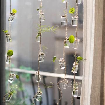 several glass jars with plants growing in them hanging from a window sill next to a curtain