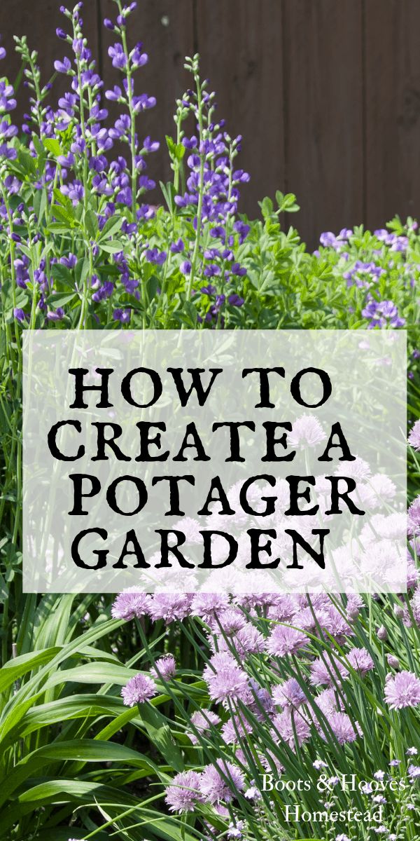 purple flowers and green plants with the words how to create a potager garden