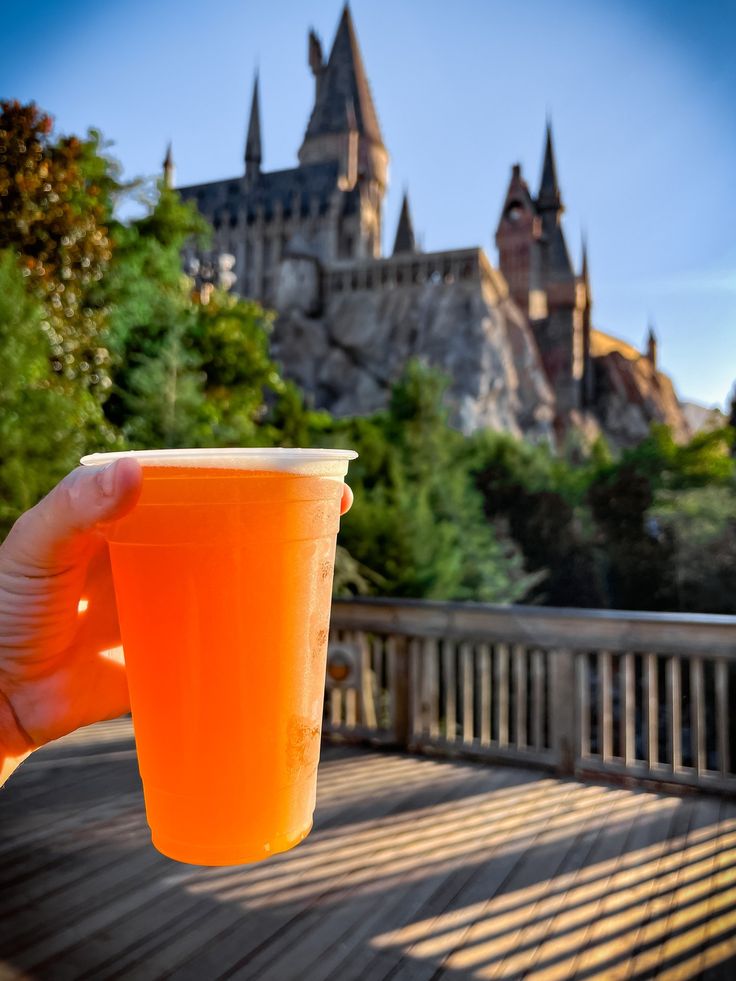 a person holding up a cup in front of a castle