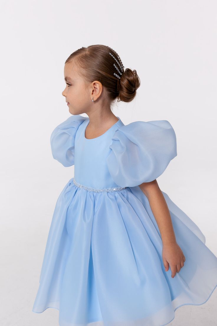 Blue Girl Dress, Dress For Birthday Party, Dress Tutu, Blue Girl, Girls Blue Dress, Flower Girl Dresses Tutu, Organza Dress, Dress Girls, Flower Girl Dress