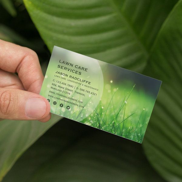 a person holding up a business card in front of a plant with green leaves on it