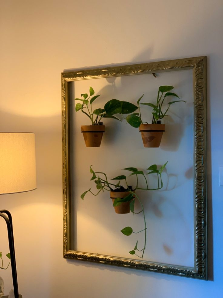 three potted plants are hanging on the wall in front of a lamp and mirror