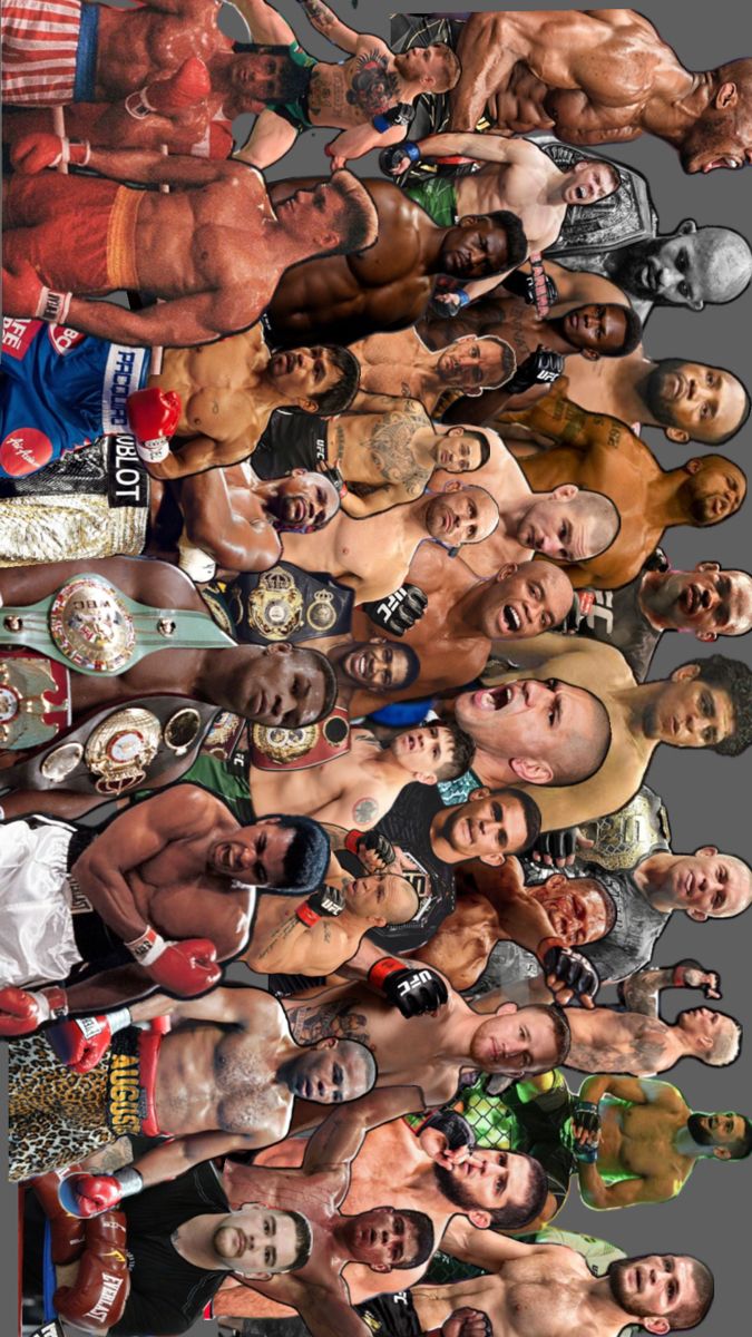 an image of many different wrestling wrestlers