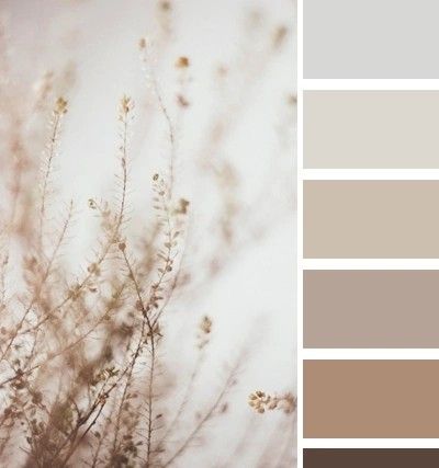 the color scheme is neutral, and it looks like some kind of plant