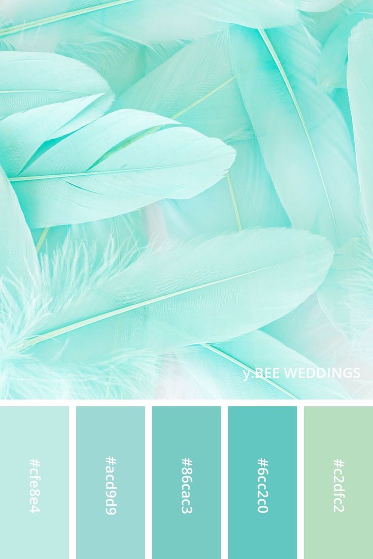 a color palette with different shades of blue, green and white feathers in the background