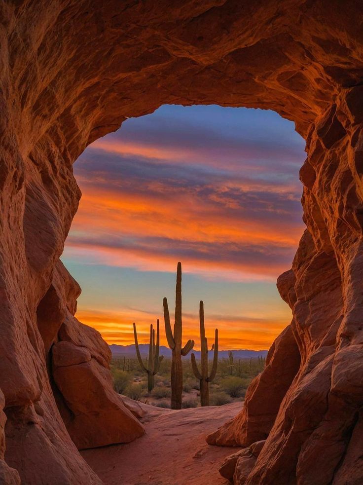 the sun is setting in between two large rocks, with a cactus growing out of one