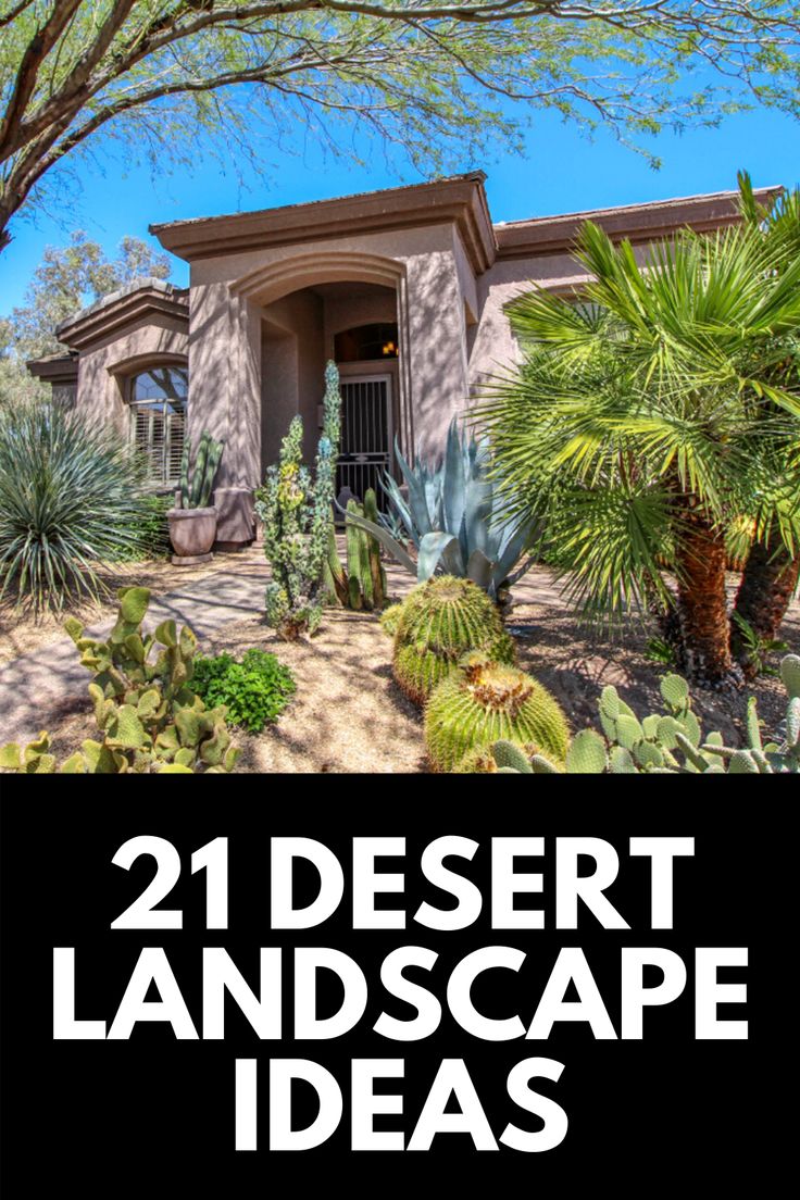 desert landscape with cactus and cacti in front of the house text reads 21 desert landscape ideas