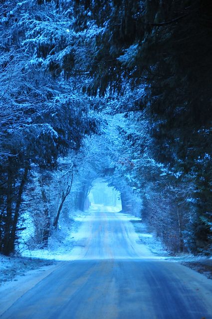 an empty road surrounded by snow covered trees