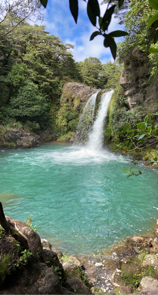 a large waterfall in the middle of a forest