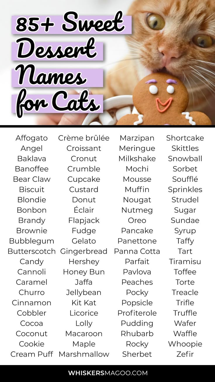 an orange cat is eating a cookie with the words, 85 sweet dessert names for cats