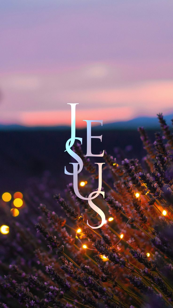 the words jesus are lit up in front of a field full of lavenders and lights