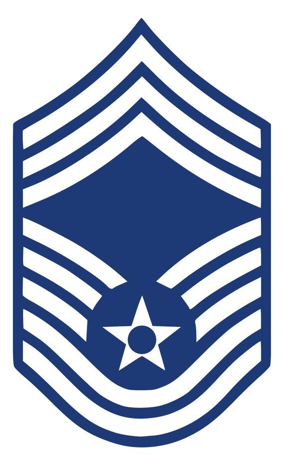 an air force emblem with the star on it's center and two lines in the middle