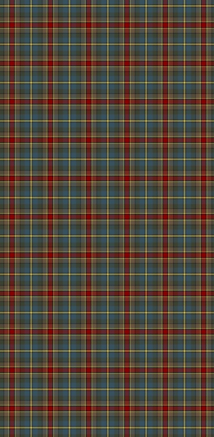 a plaid pattern with red and blue colors