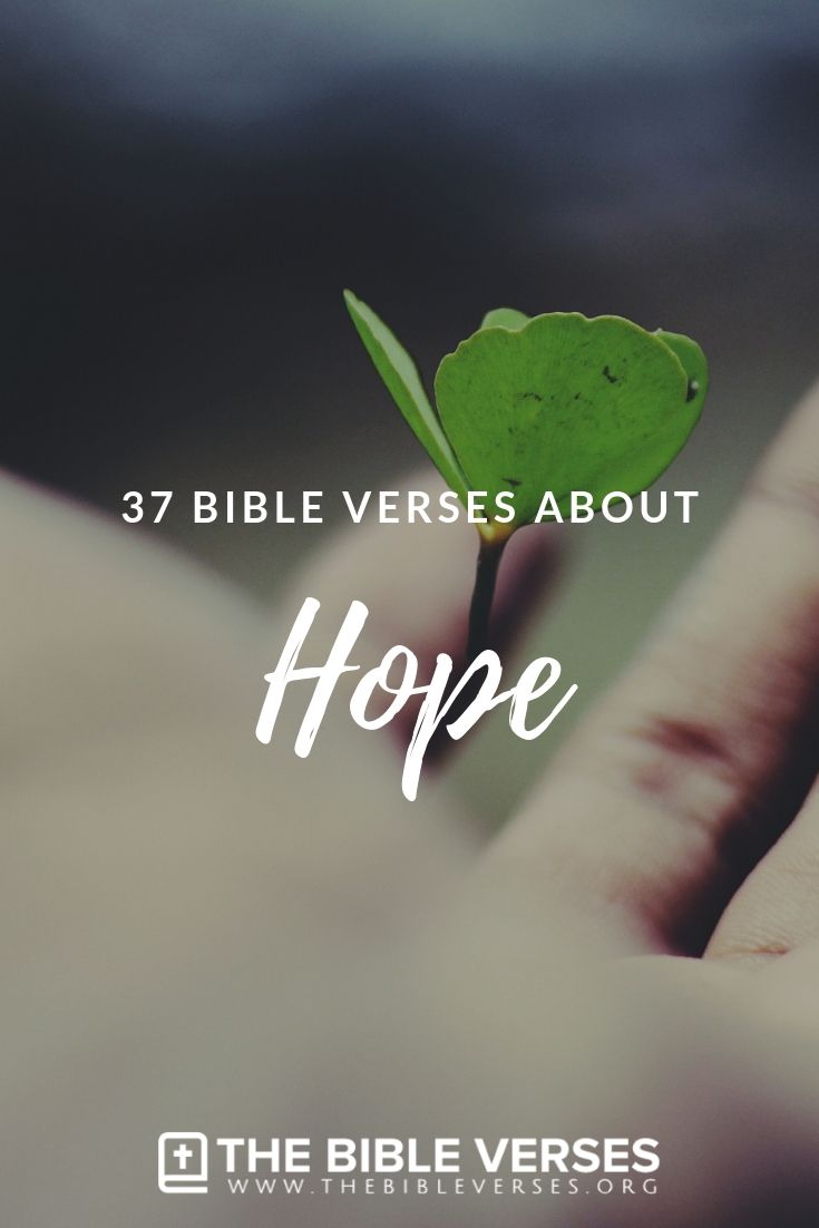 a hand holding a green leaf with the words, 37 bible verses about hope