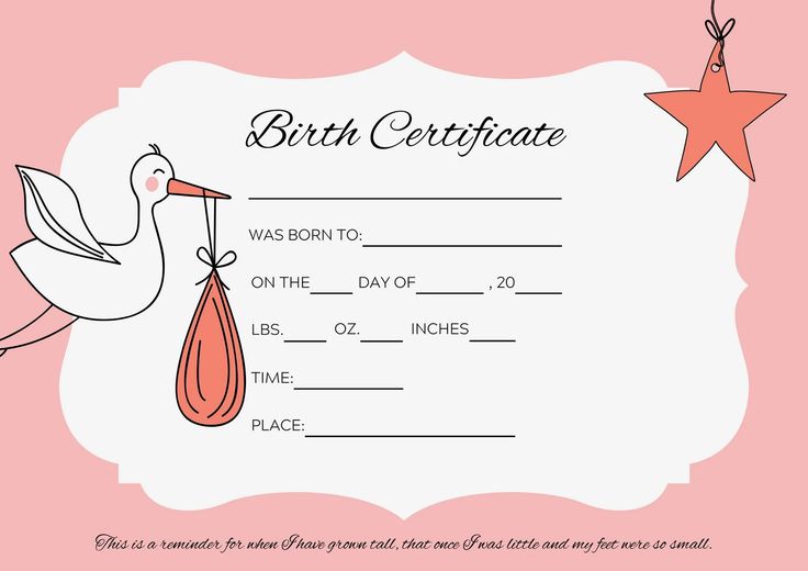 a birth certificate with a stork carrying a baby in a bag on it