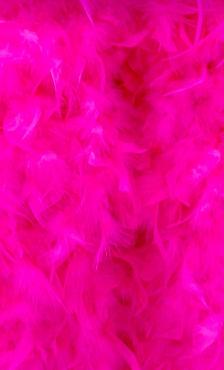 bright pink feathers are scattered on the ground