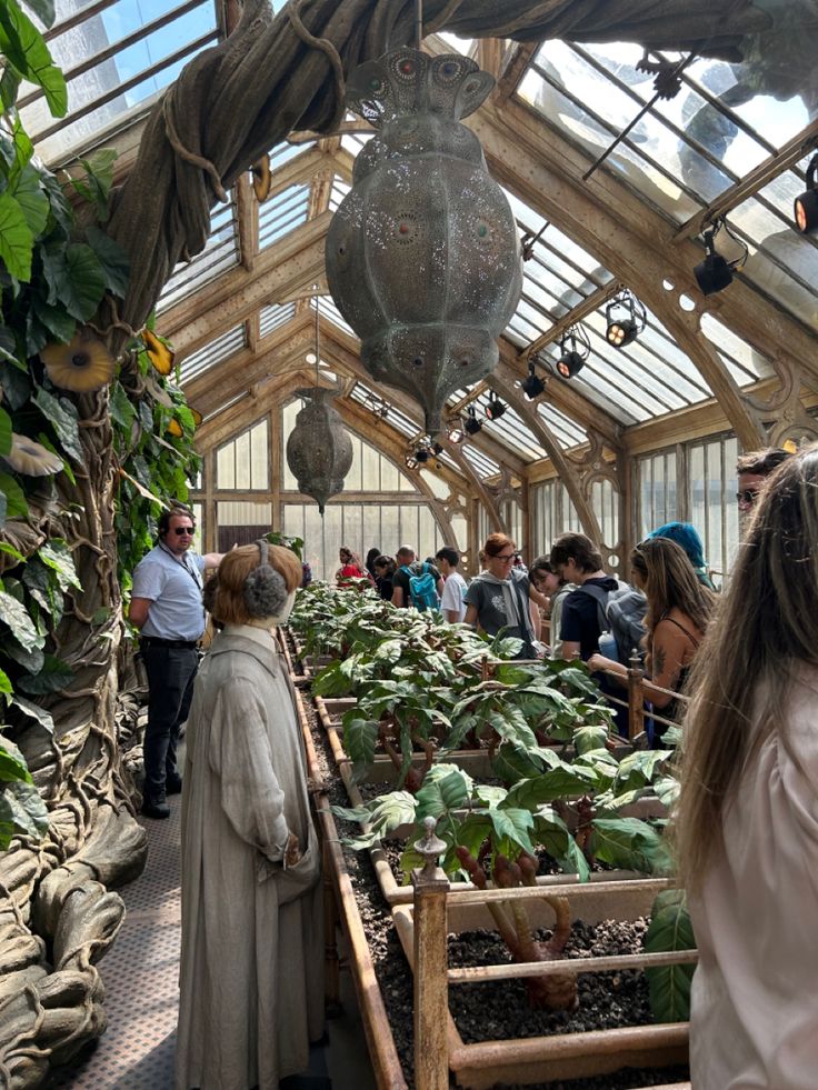 several people in a greenhouse looking at plants