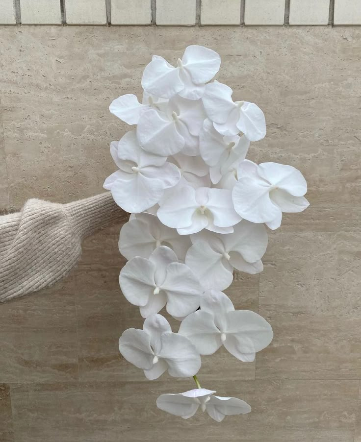 a bouquet of white flowers is being held up by someone's hand in front of a tiled wall