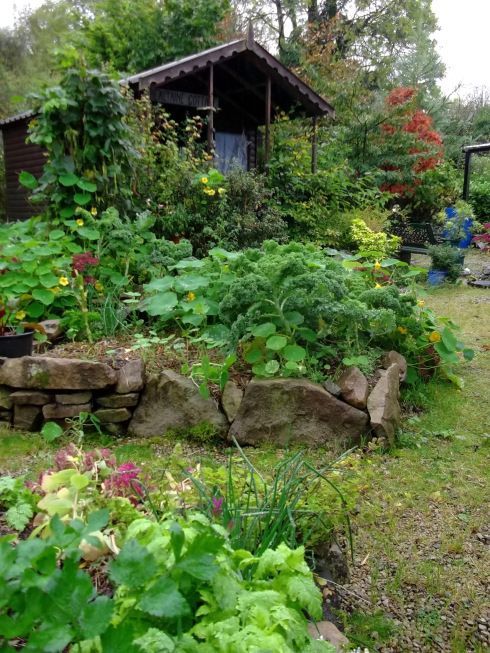 the garden is full of plants and rocks