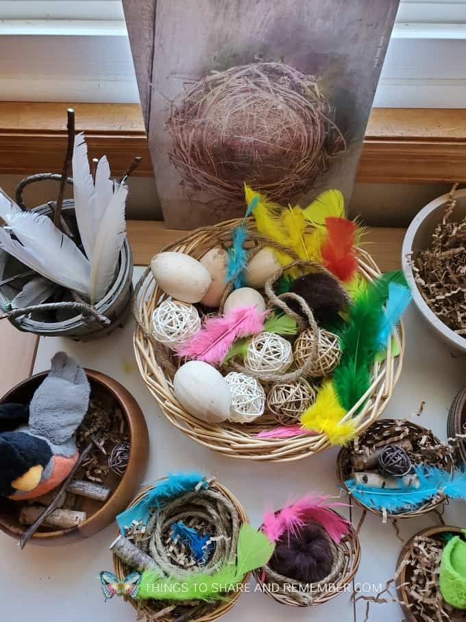 several bird's nests with colorful feathers in them on a window sill