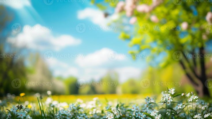 a field full of flowers and trees with the sky in the backgrounnd