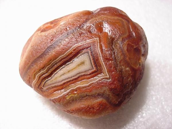 a piece of bread sitting on top of a white cloth covered in brown and black stripes