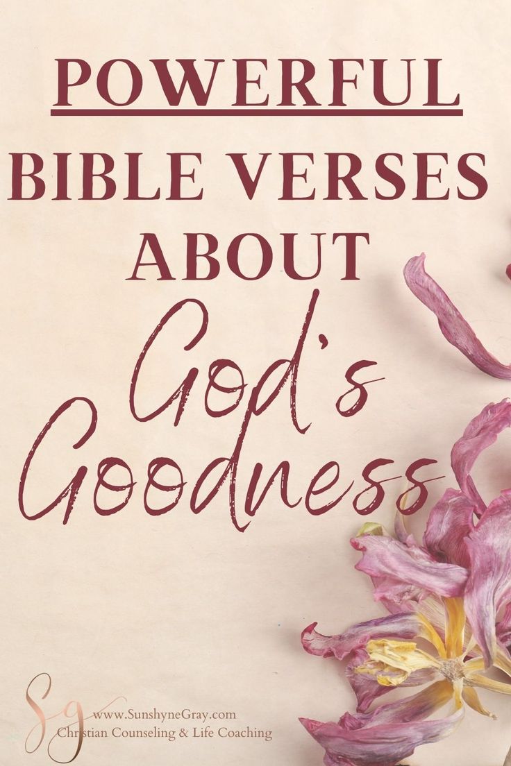 a book cover with flowers and the words powerful bible verses about god's goodness