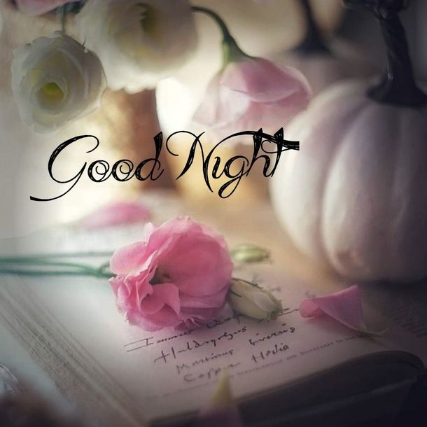 an open book with flowers on it and the words good night