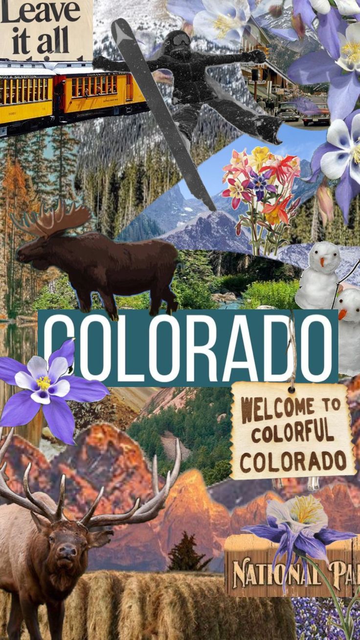 a collage of animals and flowers with the words colorado