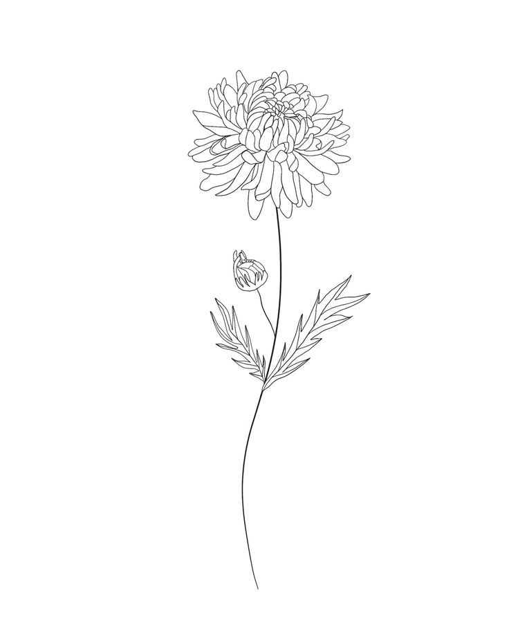 a black and white drawing of a flower