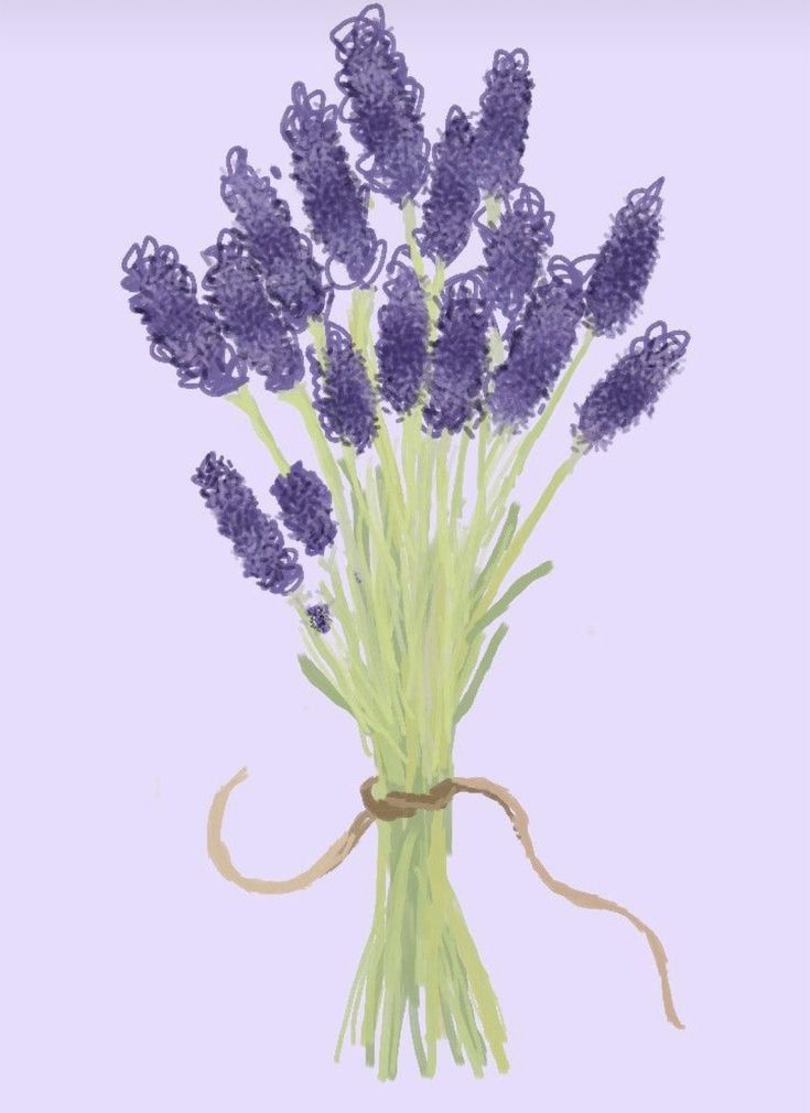 a bunch of lavender flowers tied to a string