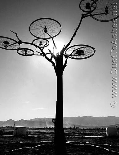 a black and white photo of a tree with bicycles on it