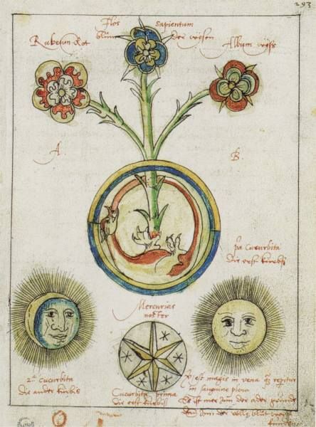 an old book with drawings and symbols on the pages, including flowers in a vase