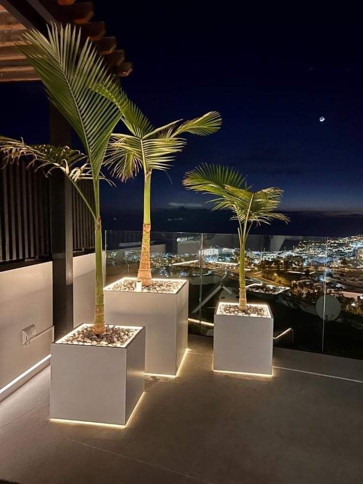 three palm trees in white planters on a balcony overlooking the city lights at night