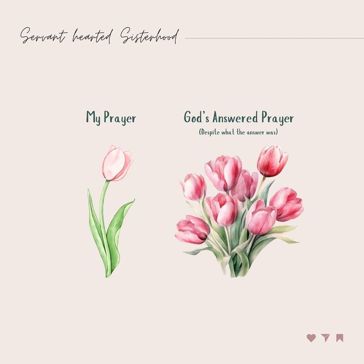 two pink tulips with green leaves and the words god's answered prayer