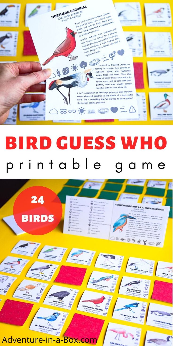 the bird guess who printable game is displayed on a yellow table with red and green squares