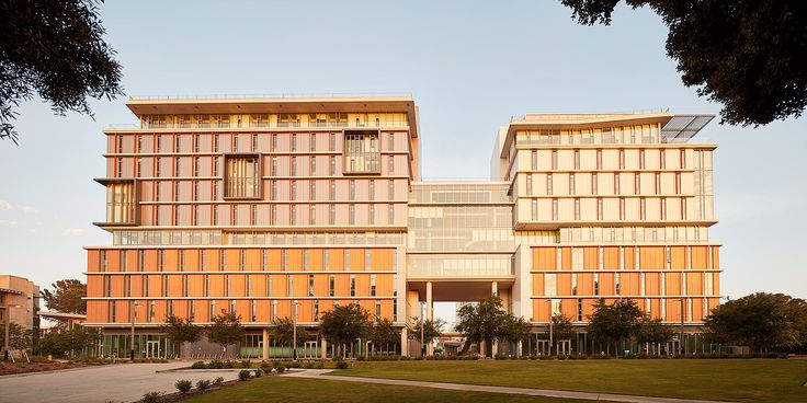 two tall buildings with windows on each side and grass in the foreground, against a blue sky