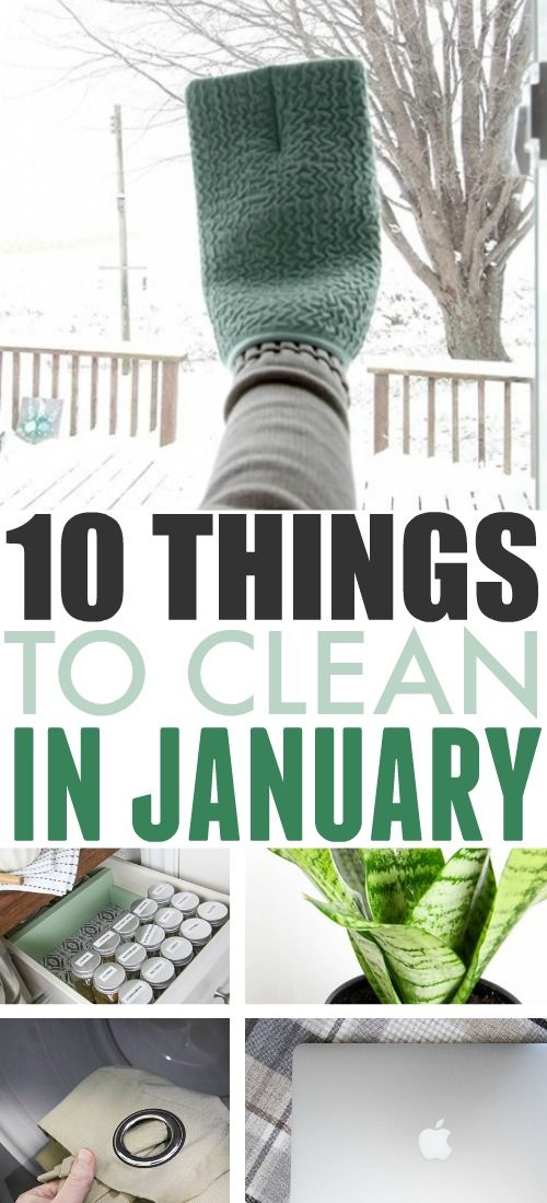 the top ten things to clean in january, including an apple computer and a plant