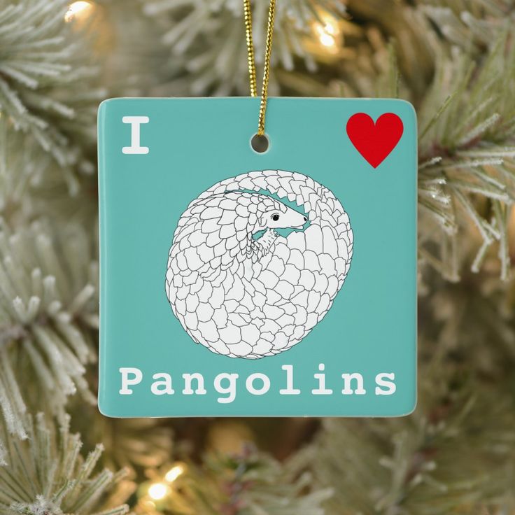 an ornament hanging from a christmas tree with the words i love panopins on it