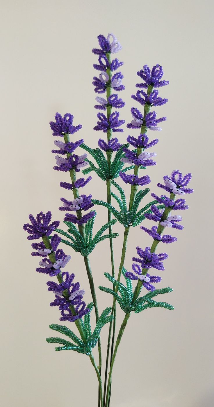 purple flowers with green stems in a vase