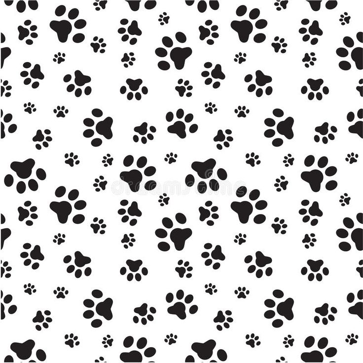 black and white dog paw prints on a white background stock photo image 519782