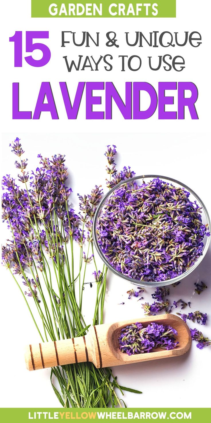 lavender flowers and a wooden spoon with text overlay that reads 15 fun & unique ways to use lavender