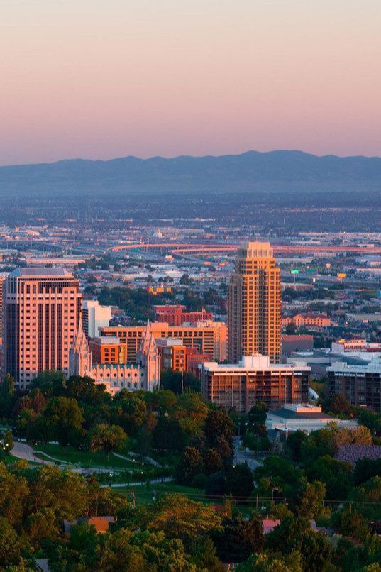 a city with tall buildings and trees in the foreground, at sunset or dawn