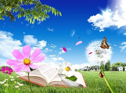 an open book sitting on top of a lush green field next to a butterfly flying over it