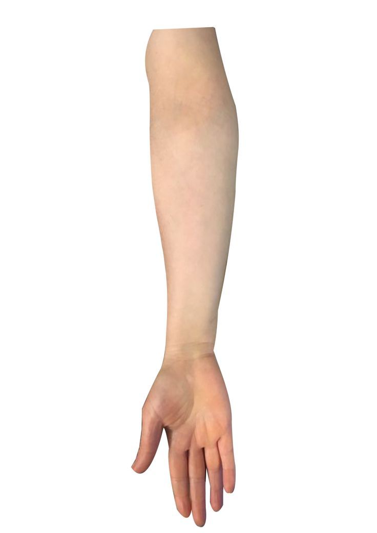 a person's arm and hand are shown from the top view, with only one arm visible