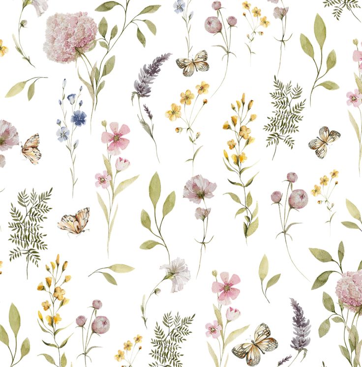 watercolor flowers and butterflies on a white background