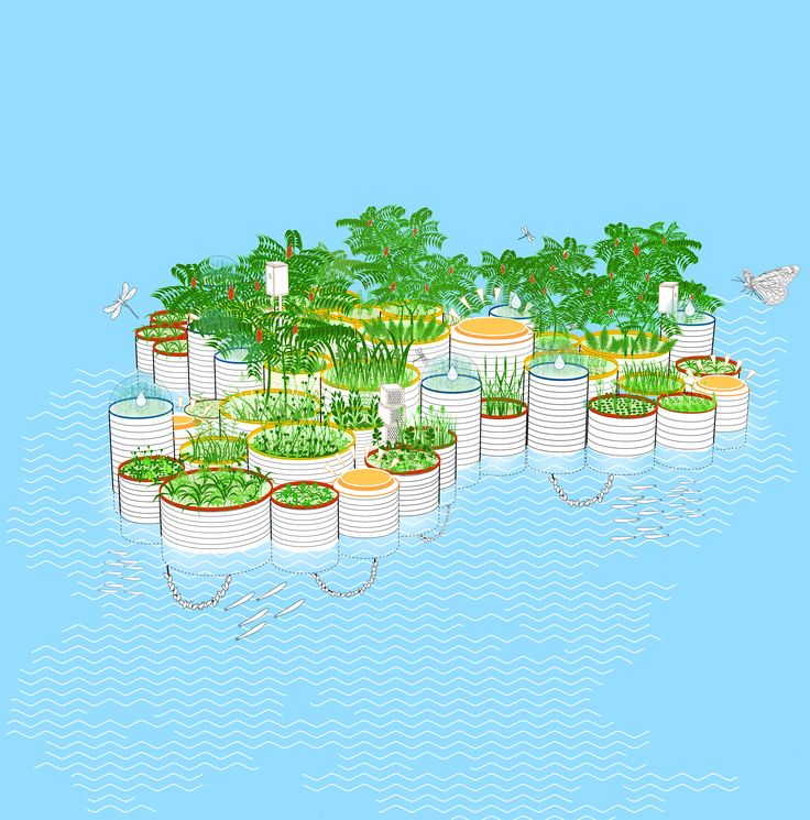 an island with many plants growing out of it