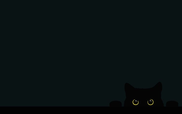 a black cat with glowing eyes sitting in the dark