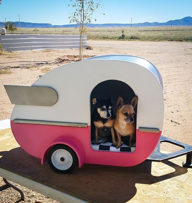 two dogs are sitting in an rv shaped like a camper with its door open