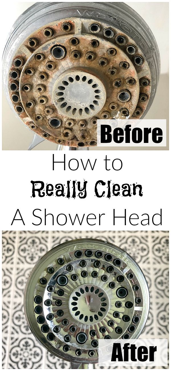 before and after shot of a shower head with the words, how to really clean a shower head